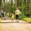 pferd-werkzeuge-lauf-06-2017 (75)