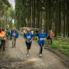 pferd-werkzeuge-lauf-06-2017 (623)
