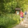 pferd-werkzeuge-lauf-06-2017 (275)