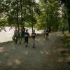 pferd-werkzeuge-lauf-06-2017 (524)