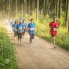 pferd-werkzeuge-lauf-06-2017 (403)