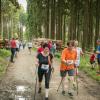 pferd-werkzeuge-lauf-06-2017 (667)