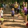 pferd-werkzeuge-lauf-06-2017 (96)