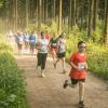 pferd-werkzeuge-lauf-06-2017 (401)
