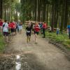 pferd-werkzeuge-lauf-06-2017 (687)