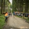 pferd-werkzeuge-lauf-06-2017 (607)