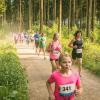 pferd-werkzeuge-lauf-06-2017 (372)