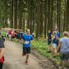 pferd-werkzeuge-lauf-06-2017 (644)