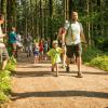 pferd-werkzeuge-lauf-06-2017 (60)