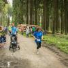 pferd-werkzeuge-lauf-06-2017 (589)