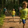 pferd-werkzeuge-lauf-06-2017 (19)