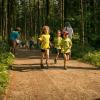 pferd-werkzeuge-lauf-06-2017 (22)