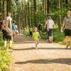 pferd-werkzeuge-lauf-06-2017 (72)