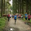 pferd-werkzeuge-lauf-06-2017 (663)