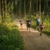 pferd-werkzeuge-lauf-06-2017 (358)