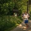 pferd-werkzeuge-lauf-06-2017 (300)