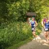 pferd-werkzeuge-lauf-06-2017 (334)