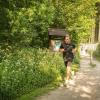 pferd-werkzeuge-lauf-06-2017 (264)