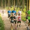 pferd-werkzeuge-lauf-06-2017 (378)
