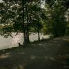 pferd-werkzeuge-lauf-06-2017 (475)