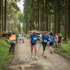 pferd-werkzeuge-lauf-06-2017 (630)