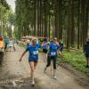 pferd-werkzeuge-lauf-06-2017 (631)