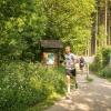 pferd-werkzeuge-lauf-06-2017 (265)