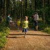 pferd-werkzeuge-lauf-06-2017 (17)