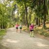 pferd-werkzeuge-lauf-06-2017 (410)