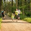 pferd-werkzeuge-lauf-06-2017 (74)