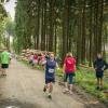 pferd-werkzeuge-lauf-06-2017 (650)