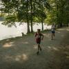 pferd-werkzeuge-lauf-06-2017 (471)