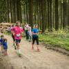 pferd-werkzeuge-lauf-06-2017 (558)