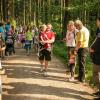 pferd-werkzeuge-lauf-06-2017 (138)