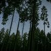 pferd-werkzeuge-lauf-06-2017 (342)