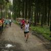 pferd-werkzeuge-lauf-06-2017 (651)