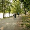 pferd-werkzeuge-lauf-06-2017 (437)