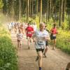 pferd-werkzeuge-lauf-06-2017 (388)