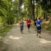 pferd-werkzeuge-lauf-06-2017 (414)