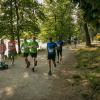 pferd-werkzeuge-lauf-06-2017 (453)