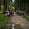 pferd-werkzeuge-lauf-06-2017 (688)