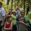pferd-werkzeuge-lauf-06-2017 (183)