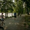 pferd-werkzeuge-lauf-06-2017 (438)