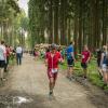 pferd-werkzeuge-lauf-06-2017 (661)