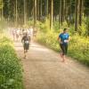 pferd-werkzeuge-lauf-06-2017 (380)