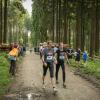 pferd-werkzeuge-lauf-06-2017 (638)