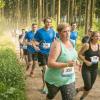pferd-werkzeuge-lauf-06-2017 (394)