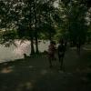 pferd-werkzeuge-lauf-06-2017 (449)