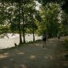 pferd-werkzeuge-lauf-06-2017 (537)