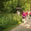 pferd-werkzeuge-lauf-06-2017 (335)